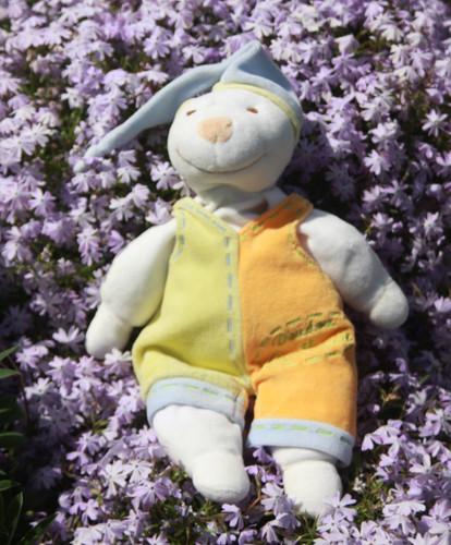 Doudou compagnie ours - et,